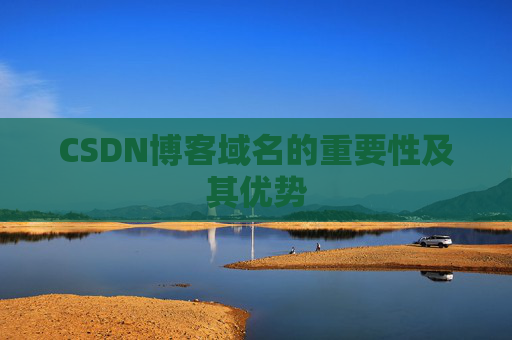 CSDN博客域名的重要性及其优势